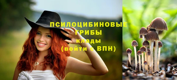 прущие крисы Алзамай