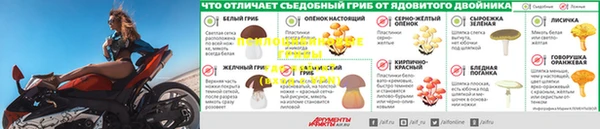 кокс Абаза