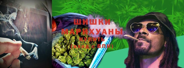 ГАЛЛЮЦИНОГЕННЫЕ ГРИБЫ Абинск