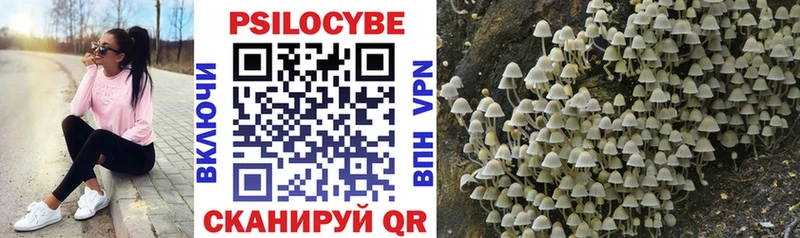 Псилоцибиновые грибы Magic Shrooms  Красково 